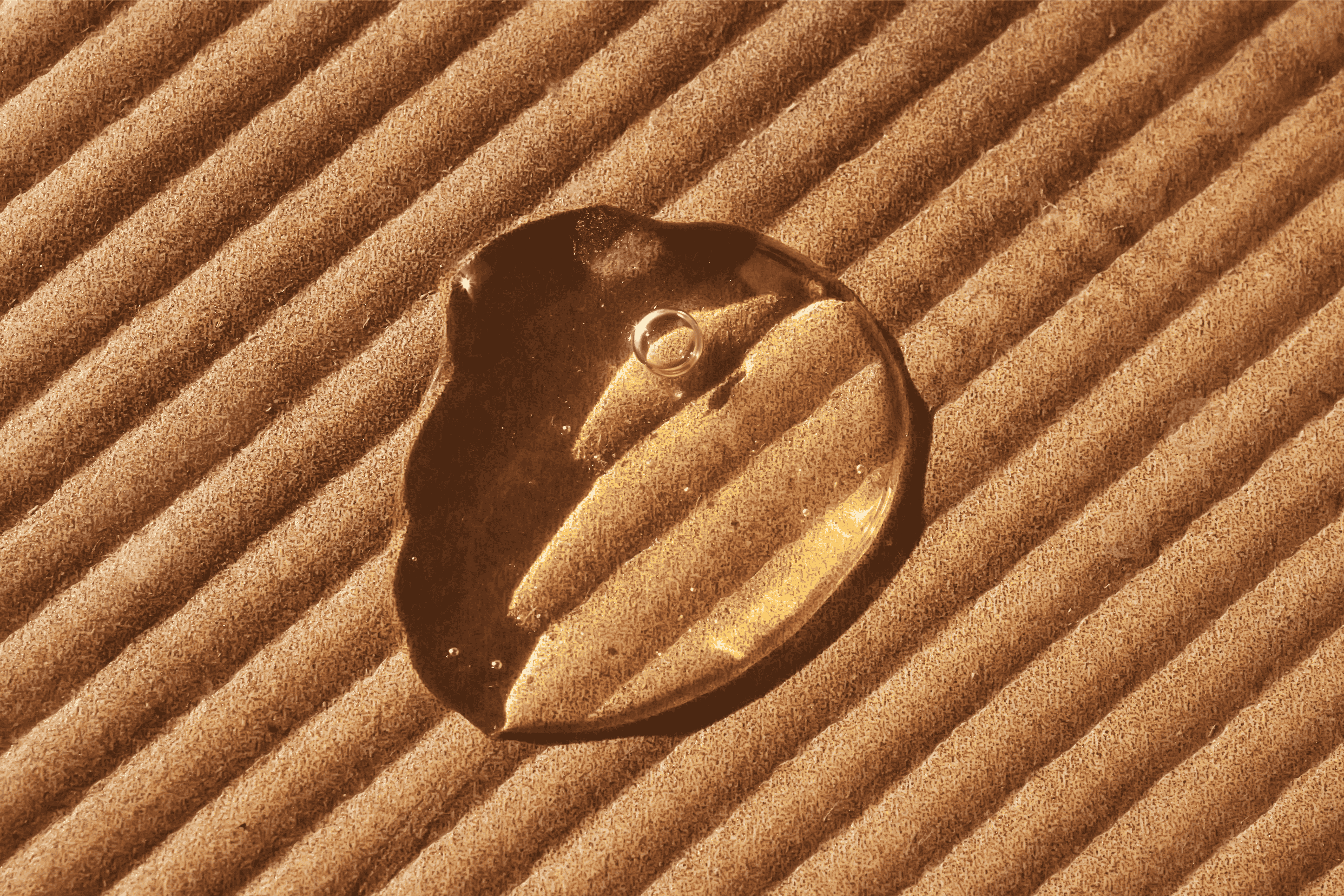 Squalane, The Quiet Hero Your Skin and Hair Have Been Waiting For